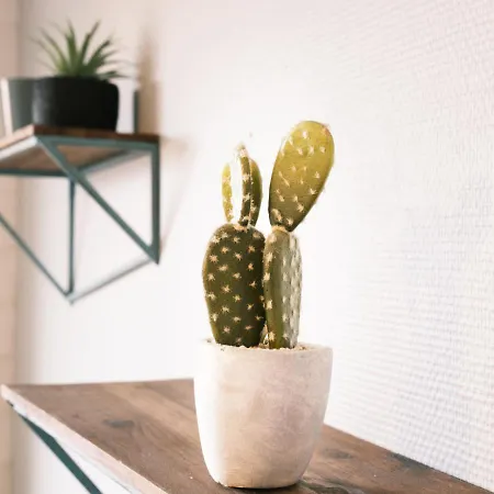 Duplex Cosy Et Apartment Biscarrosse